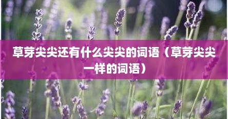 草芽尖尖还有什么尖尖的词语（草芽尖尖一样的词语）