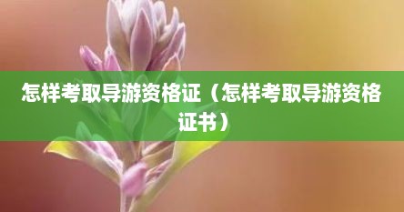 怎样考取导游资格证（怎样考取导游资格证书）