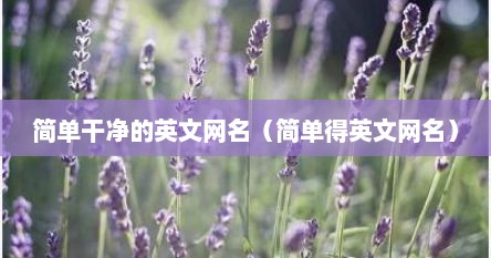 简单干净的英文网名（简单得英文网名）