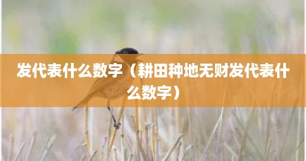 发代表什么数字（耕田种地无财发代表什么数字）