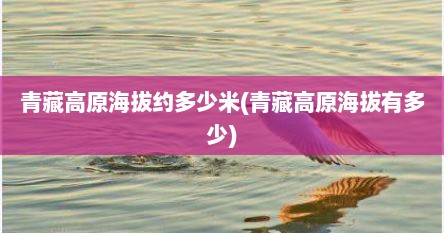青藏高原海拔约多少米(青藏高原海拔有多少)