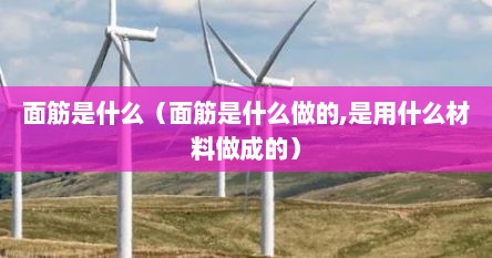 面筋是什么（面筋是什么做的,是用什么材料做成的）