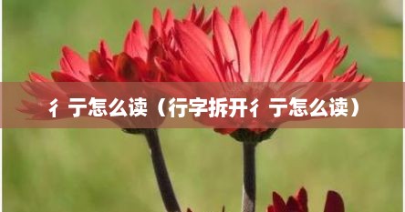 彳亍彳怎么读（彳亍怎么读粤语）