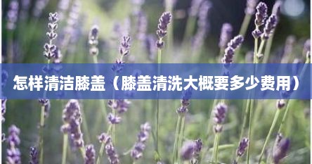 怎样清洁膝盖（膝盖清洗大概要多少费用）