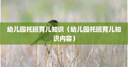 幼儿园托班育儿知识（幼儿园托班育儿知识内容）