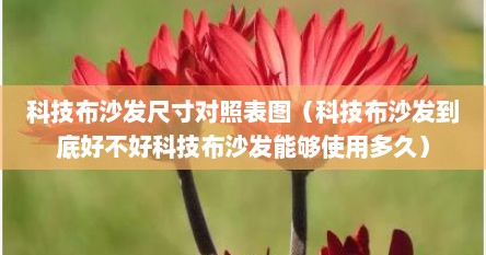 科技布沙发尺寸对照表图（科技布沙发到底好不好科技布沙发能够使用多久）