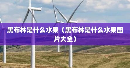黑布林是什么果树（黑布林是哪里产的水果）