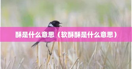 酥是什么意思（软酥酥是什么意思）