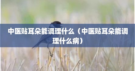 中医贴耳朵能调理什么（中医贴耳朵能调理什么病）