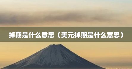 掉期是什么意思（美元掉期是什么意思）