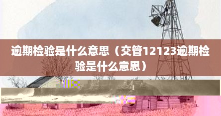 12123显示逾期年检（交管123显示逾期未检验）