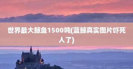世界最大鲸鱼1500吨(蓝鲸真实图片吓死人了)