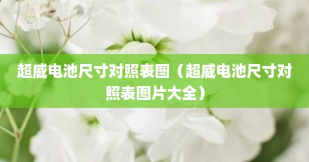 超威电池尺寸对照表图（超威电池尺寸对照表图片大全）
