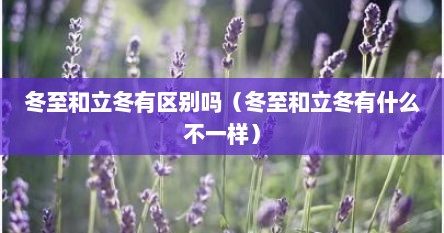 冬至和立冬有区别吗（冬至和立冬有什么不一样）