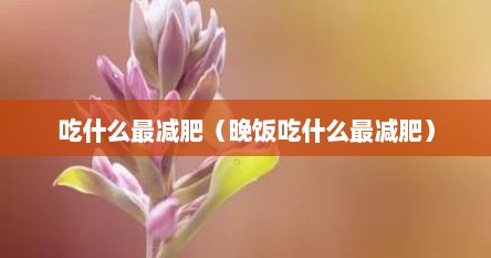 吃什么最减肥（晚饭吃什么最减肥）