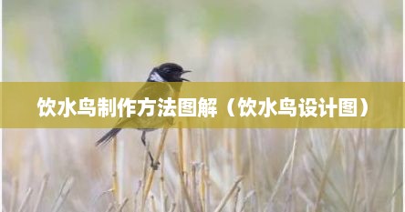 饮水鸟制作方法图解（饮水鸟设计图）