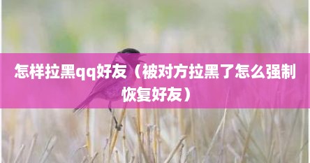 怎样拉黑qq好友（被对方拉黑了怎么强制恢复好友）