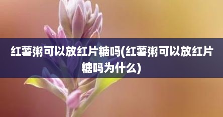 红薯粥可以放红片糖吗(红薯粥可以放红片糖吗为什么)