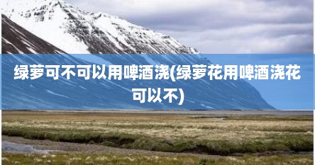 绿萝可不可以用啤酒浇(绿萝花用啤酒浇花可以不)