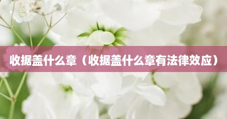 收据盖什么章（收据盖什么章有法律效应）