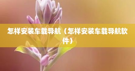 怎样安装车载导航（怎样安装车载导航软件）