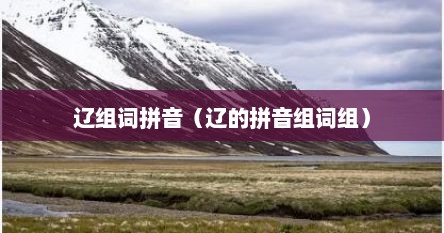 辽组词拼音（辽的拼音组词组）