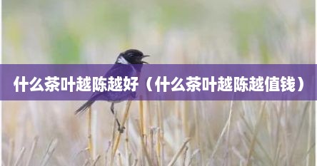 什么茶叶越陈越好（什么茶叶越陈越值钱）
