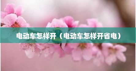 电动车怎样开（电动车怎样开省电）