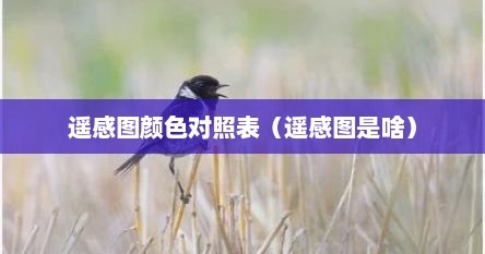 遥感图颜色对照表（遥感图是啥）