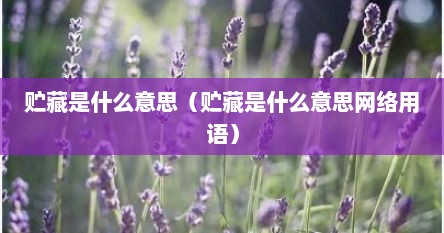 贮藏是什么意思（贮藏是什么意思网络用语）