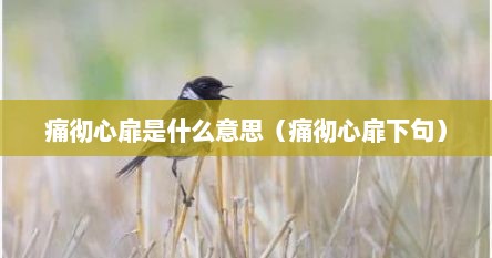 痛彻心扉是什么意思（痛彻心扉下句）