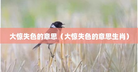 大惊失色的意思（大惊失色的意思生肖）