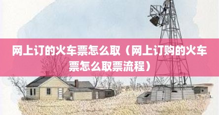 网上订的火车票怎么取（网上订购的火车票怎么取票流程）