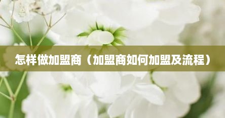 怎样做加盟商（加盟商如何加盟及流程）
