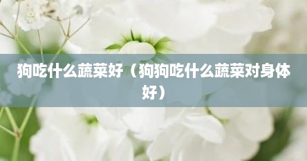 狗吃什么蔬菜好（狗狗吃什么蔬菜对身体好）