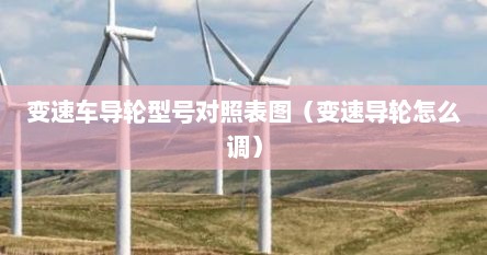 变速车导轮型号对照表图（变速导轮怎么调）