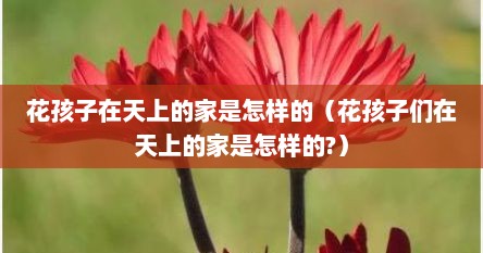 花孩子在天上的家是怎样的（花孩子们在天上的家是怎样的?）