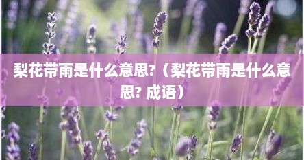 梨花带雨是什么意思?（梨花带雨是什么意思? 成语）