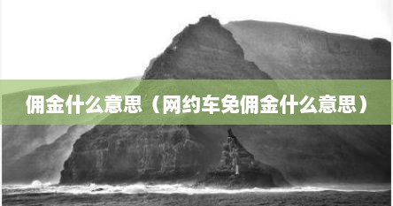 佣金什么意思（网约车免佣金什么意思）