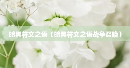 暗黑符文之语（暗黑符文之语战争召唤）