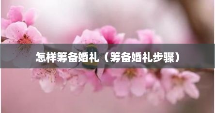 怎样筹备婚礼（筹备婚礼步骤）