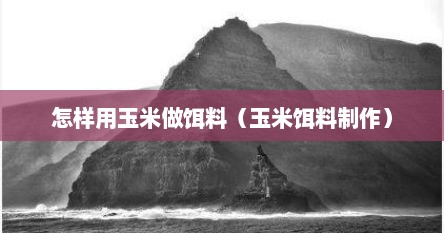 怎样用玉米做饵料（玉米饵料制作）