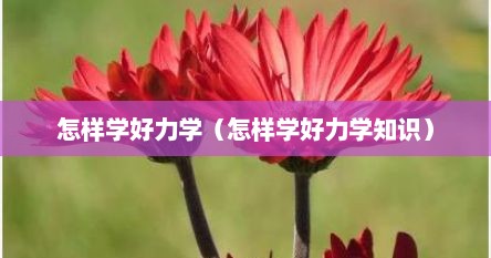 怎样学好力学（怎样学好力学知识）