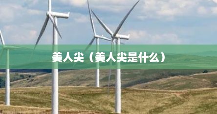 美人尖（美人尖是什么）