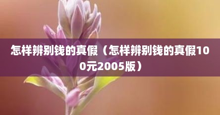 怎样辨别钱的真假（怎样辨别钱的真假100元2005版）