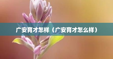 广安育才怎样（广安育才怎么样）