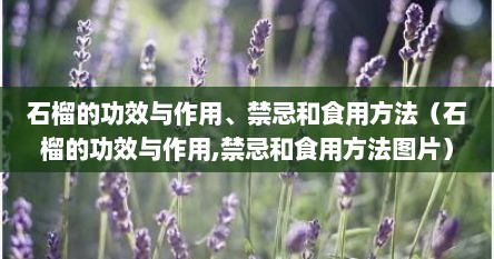 石榴的功效与作用、禁忌和食用方法（石榴的功效与作用,禁忌和食用方法图片）