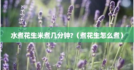 水煮花生米煮几分钟?（煮花生怎么煮）