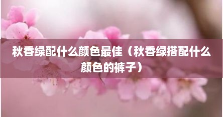 秋香绿裤配什么颜色裤子好看（秋香色搭配什么颜色裤子）