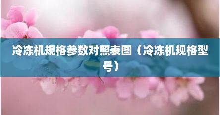 冷冻机规格参数对照表图（冷冻机规格型号）